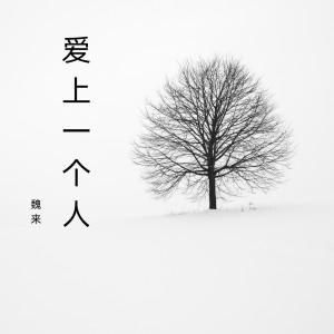 Album 爱上一个人 from 魏来