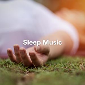 收聽Sleep Music的Meditation Music Relaxing Music For Stress歌詞歌曲