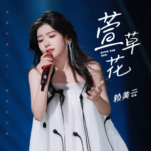收聽賴美雲的萱草花歌詞歌曲