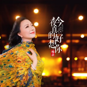 Dengarkan lagu 今夜真的好想你 nyanyian 梅朵 dengan lirik