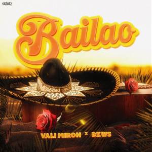 Vali Miron的專輯Bailao (Explicit)