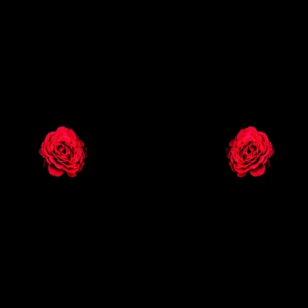 Regular (Explicit)