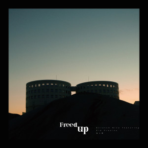 Listen to Freed Up song with lyrics from DJ Scratch Nice