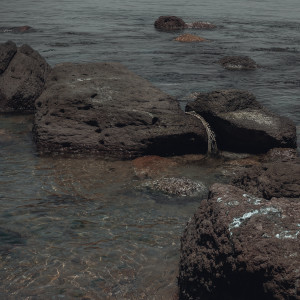 Listen to 표류 (Island) (Feat. 구형빈) song with lyrics from Drizzlen