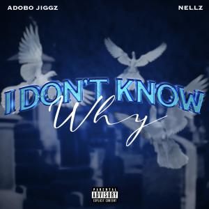 收聽Adobo Jiggz的I dont know why (feat. Nellz) (Explicit)歌詞歌曲