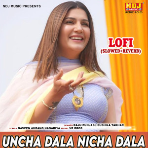 Raju Punjabi的專輯Uncha Dala Nicha Dala Lofi (Slowed + Reverb)