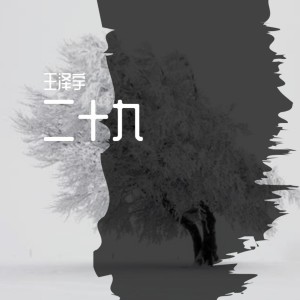 王澤宇的專輯二十九