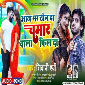 Listen to Aaj Bhar Dhil Da Chamar  Wala Pil Da song with lyrics from Shiwani Shreya