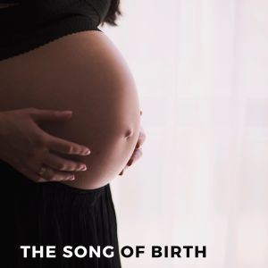 Album The song of birth from Child Therapy Music Collection