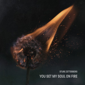 Album You Set My Soul on Fire oleh Sture Zetterberg