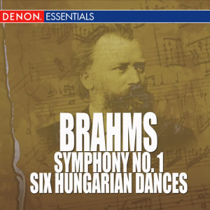 ดาวน์โหลดและฟังเพลง Brahms: Symphony No. 1 In C Minor Op. 68 - Andante Sostenuto พร้อมเนื้อเพลงจาก Bamberger Symphoniker