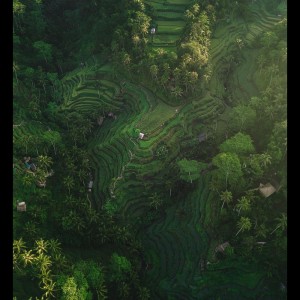 Listen to For You song with lyrics from Spa Music Relaxation