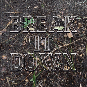 Listen to Break It Down song with lyrics from Pinetucky