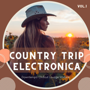 Dengarkan Try to Explain Yourself (Buena Vista Latin Balearic Guitar Mix) lagu dari Joe`s Diner dengan lirik