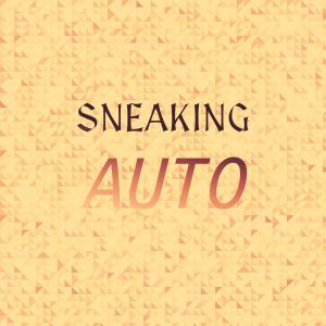 อัลบัม Sneaking Auto ศิลปิน Various