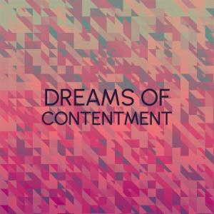 Album Dreams of Contentment from Silvia Natiello-Spiller