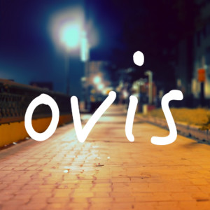 Listen to 最大限のLOVE SONG song with lyrics from Ovis