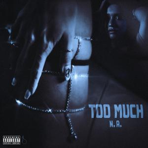 N.A.的專輯Too Much (Explicit)