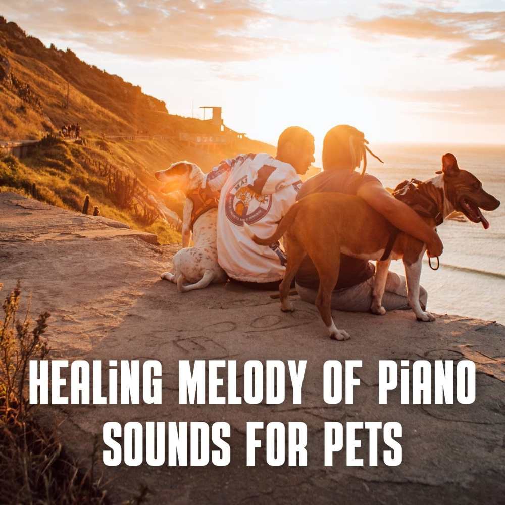 Curing Harmony