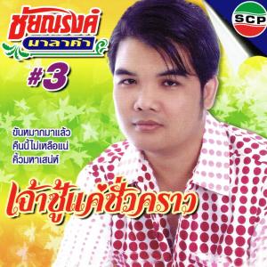 อัลบัม #3 เจ้าชู้แค่ชั่วคราว ศิลปิน ชัยณรงค์ มาลาคำ