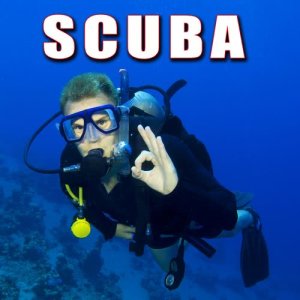 收聽群星的Single Slow Breathe Through Scuba Regulator歌詞歌曲