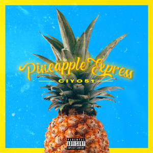 Album Pineapple Express (Explicit) from Ciyo51