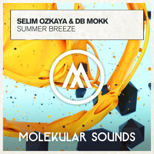 Selim Ozkaya的專輯Summer Breeze