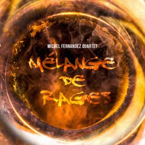 ดาวน์โหลดและฟังเพลง Monk in Africa พร้อมเนื้อเพลงจาก Michel Fernandez Quartet