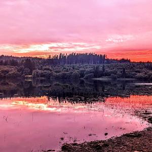 ดาวน์โหลดและฟังเพลง 01 // REFLECTIONS พร้อมเนื้อเพลงจาก Jim Beau