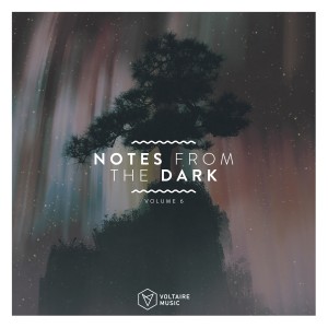 Album Notes from the Dark, Vol. 6 from Various Artists