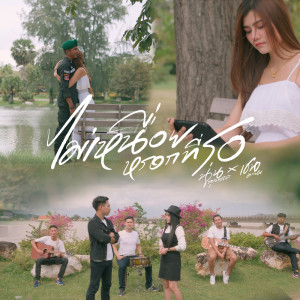 ดาวน์โหลดและฟังเพลง ไม่เหนื่อยหรอกที่รอ พร้อมเนื้อเพลงจาก นุ่น กุลสตรี
