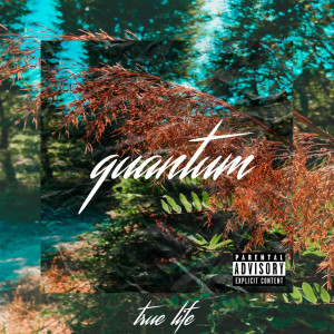 Album Правдивая жизнь (Explicit) from Quantum