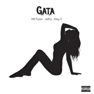 Mr.Tune的專輯Gata (Explicit)