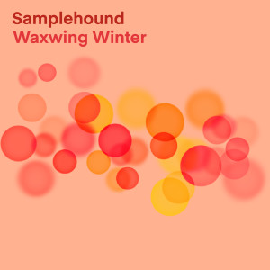Album Waxwing Winter from Samplehound