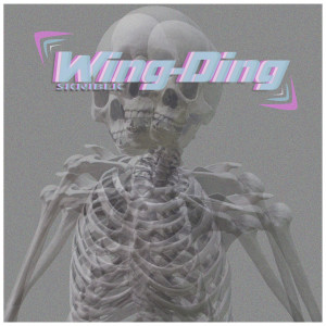 Listen to Wing Ding song with lyrics from SKNIBLK