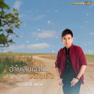 ดาวน์โหลดและฟังเพลง อ้ายเสียเจ้าไปหรือยัง (บรรเลงพิณ) พร้อมเนื้อเพลงจาก ไผ่ พงศธร