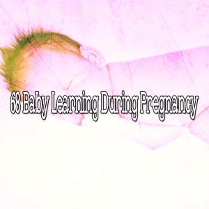 收聽Musica para Dormir Dream House的Wrapped in Comfort歌詞歌曲