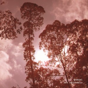 ดาวน์โหลดและฟังเพลง Pase Sin Llamar(Сontraseña 738) พร้อมเนื้อเพลงจาก Yakuzi