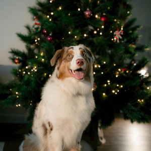 ดาวน์โหลดและฟังเพลง test update v2 (Explicit) พร้อมเนื้อเพลงจาก Frosty matt Koopa