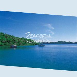 Album Peaceful Seashore from Various