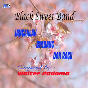 Black Sweet的专辑Janganlah Bimbang Dan Ragu - Do Not Hesitate And Hesitate