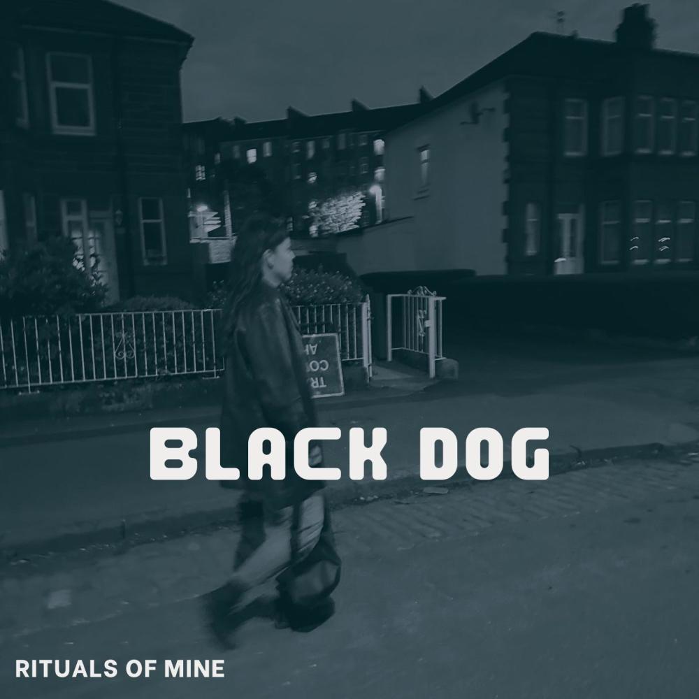 Black Dog