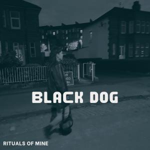 Rituals of Mine的專輯Black Dog