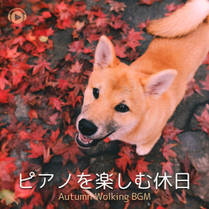 Listen to Routine (feat. Sleeping Beauty) song with lyrics from ALL BGM CHANNEL