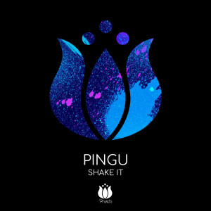 Listen to Shake It song with lyrics from Pingu