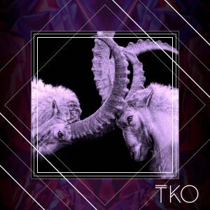 ดาวน์โหลดและฟังเพลง TKO (Explicit) พร้อมเนื้อเพลงจาก Barron S