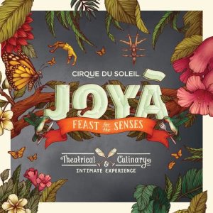 收聽Cirque Du Soleil的The Dive歌詞歌曲