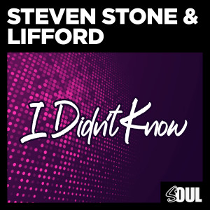 Steven Stone的专辑I Didn't Know (Radio Mix)