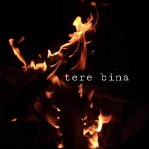 Album Tere Bina from Syntaxx Music