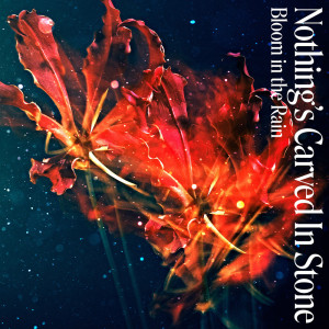 Dengarkan lagu Bloom in the Rain nyanyian Nothing's Carved In Stone dengan lirik